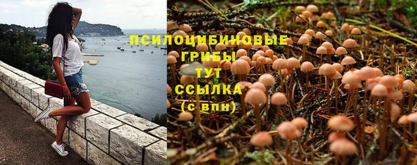 2c-b Осинники