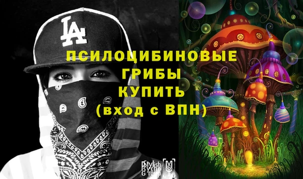 2c-b Осинники