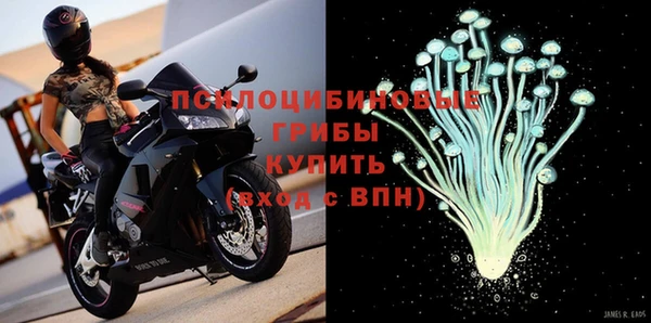 2c-b Осинники