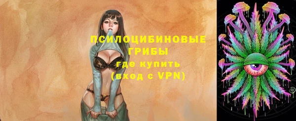 2c-b Осинники
